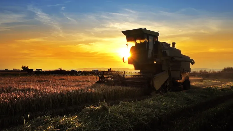Agribusiness and agro-industry